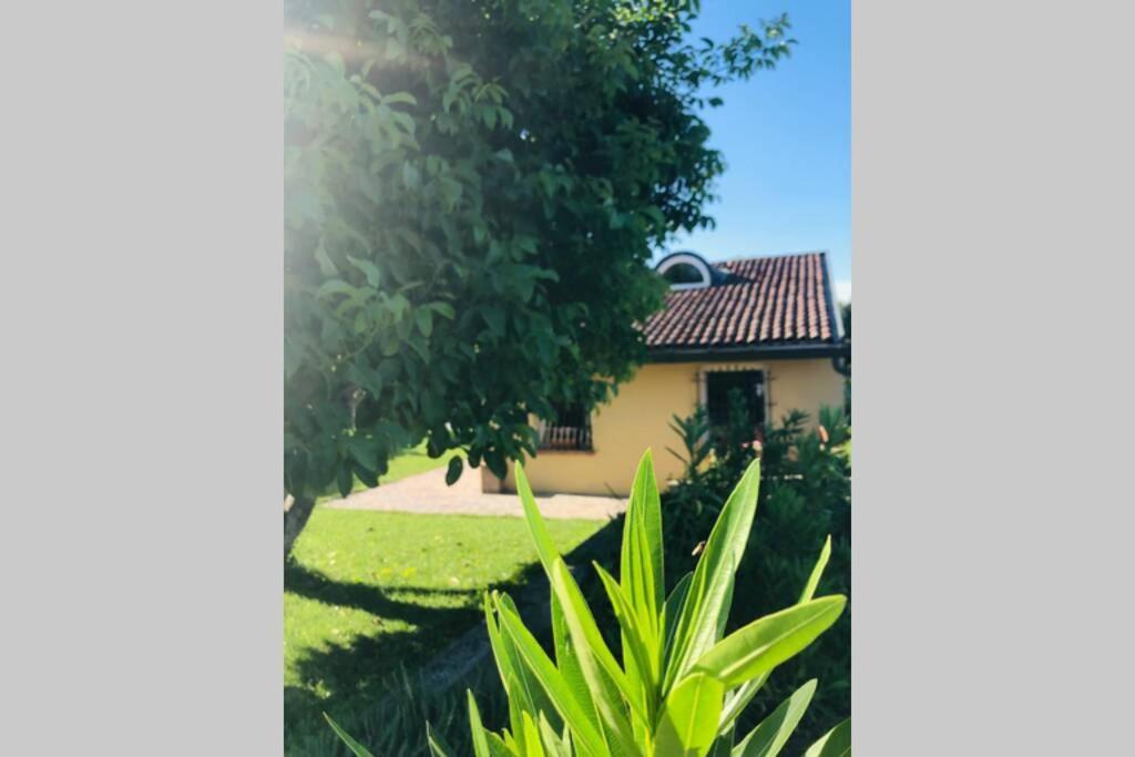 Badia PaveseLa Casa Nei Campi别墅 外观 照片